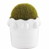 Outlet 😀 Mud Pie Classic Home Collection Beaded Faux Moss Topiary Ball Pot White 🤩 -Mud Pie Store unnamed file 130