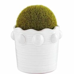 Outlet 😀 Mud Pie Classic Home Collection Beaded Faux Moss Topiary Ball Pot White 🤩