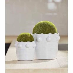 Outlet 😀 Mud Pie Classic Home Collection Beaded Faux Moss Topiary Ball Pot White 🤩 -Mud Pie Store unnamed file 132