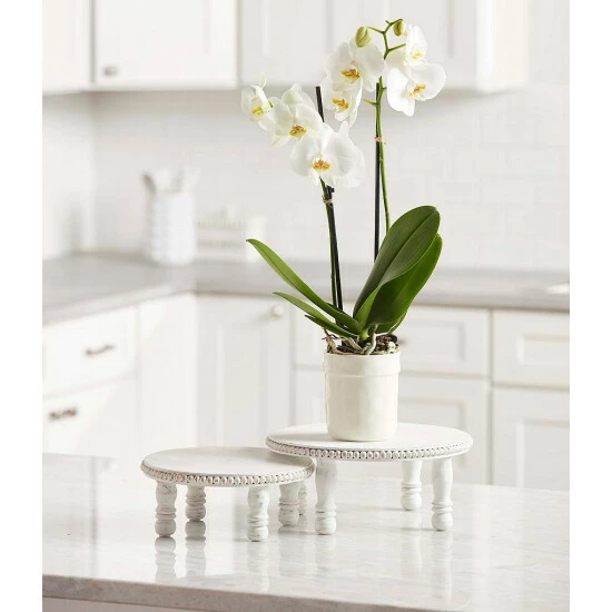 Outlet ๐ฅฐ Mud Pie White-wash Beaded Pedestal Wood Trays, Set Of 2 ๐คฉ 4 Outlet ๐ฅฐ Mud Pie White-wash Beaded Pedestal Wood Trays, Set Of 2 ๐คฉ - Image 2