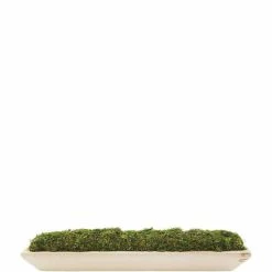 Brand new 🎉 Mud Pie Classic Home Collection Preserved Moss Wooden Tray ⌛