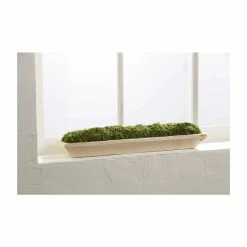 Brand new 🎉 Mud Pie Classic Home Collection Preserved Moss Wooden Tray ⌛ -Mud Pie Store unnamed file 416