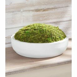 Best Sale 😀 Mud Pie Classic Home Preserved Green Moss In Round Wooden Bowl 🤩 -Mud Pie Store unnamed file 886